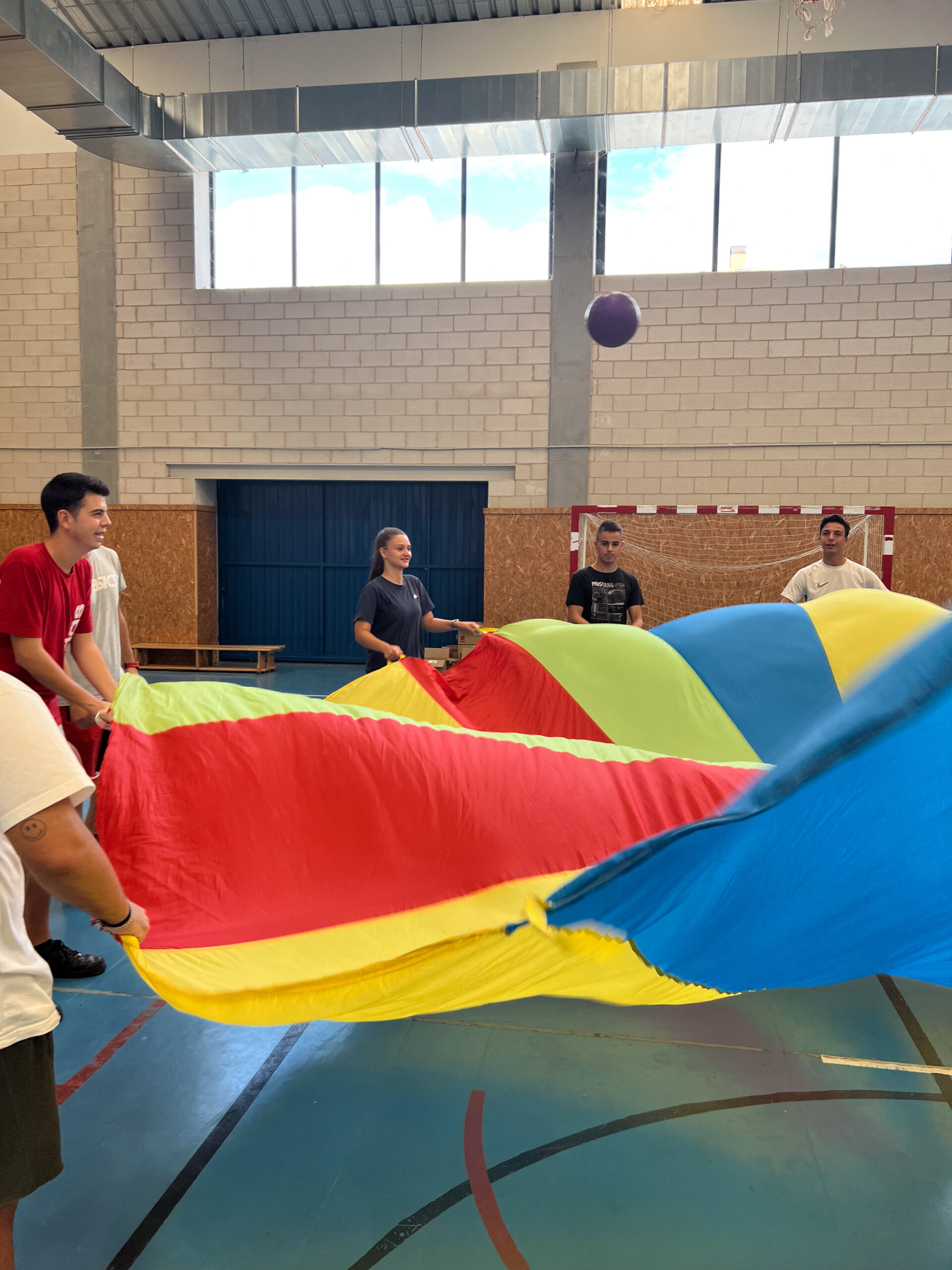 Técnico Superior de Enseñanza y Animación Socio-Deportivo